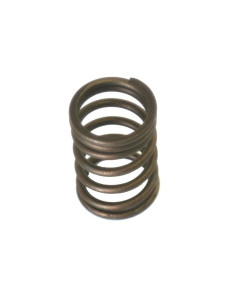 Muelle Interior Válvula