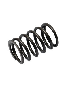 Muelle Interior Válvula