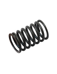 Muelle Interior Válvula