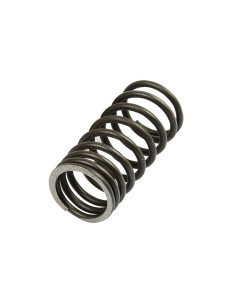 Muelle Interior Válvula