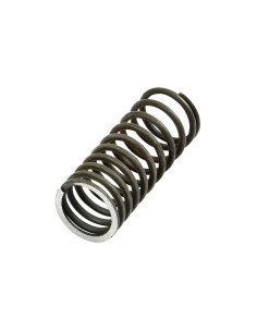 Muelle Interior Válvula