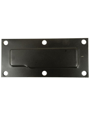 Placa
