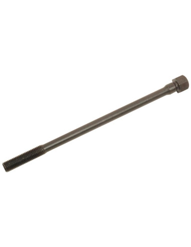 Tornillo Culata