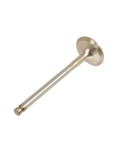 Válvula de entrada/escape Standard