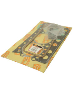 Juego de Juntas (Superiores) (311DS)