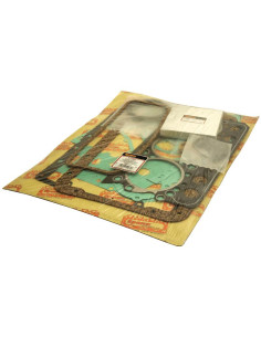 Juego Juntas Completo (311DS)