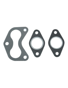 Junta Colector Escape