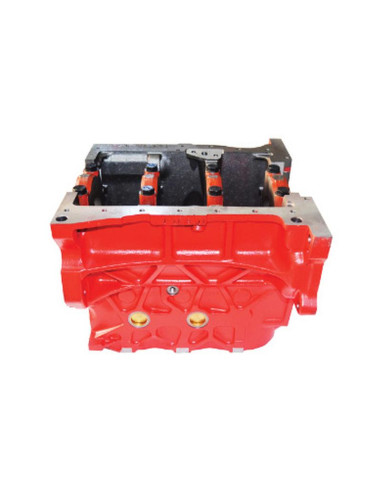 Bloque motor 4.4