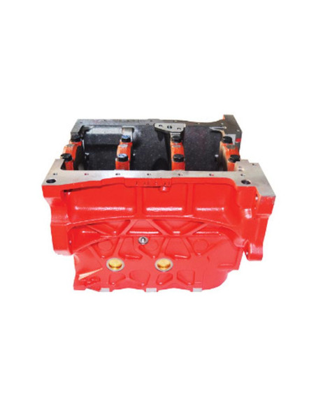 Bloque motor 4.4