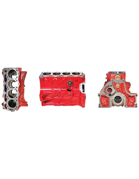 Bloque motor 4.4