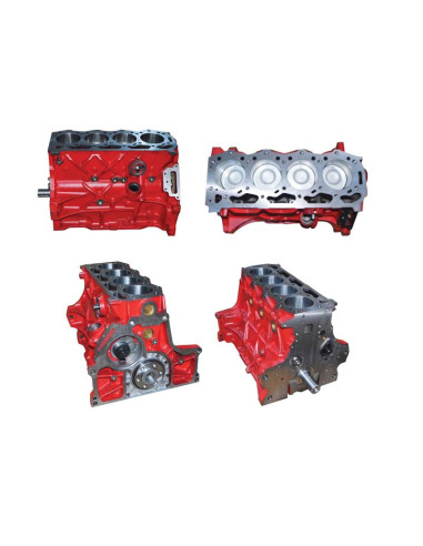 Motor corto: BSD444