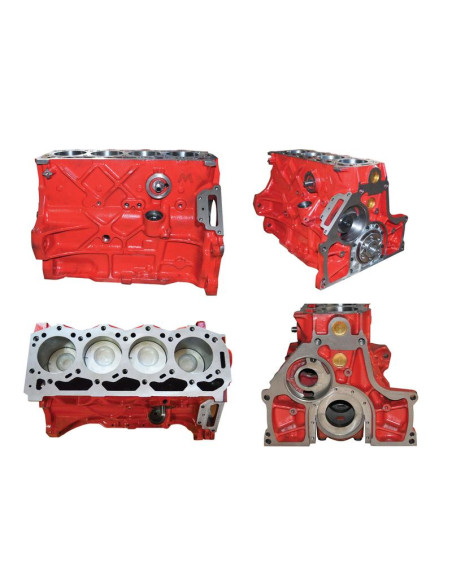 Motor corto: BSD444T