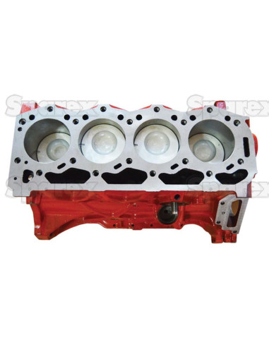 Motor corto: BSD444T