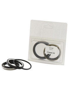 Kit Juntas (Assistor Ram)