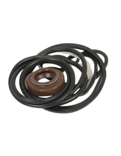 Kit Juntas (Bomba Dirección Asistida)