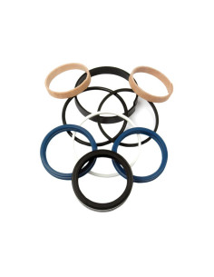 Kit Juntas (Cilindro de direccion)