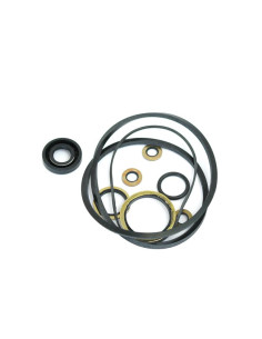 Kit Juntas (Early Kidney-Shaped Pump)