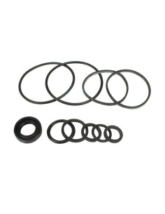 Kit Juntas (Hydraulic Pump (Single Kit Only))