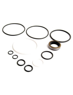 Kit Juntas (ISI Cilindro de dirección asistida 4WD)