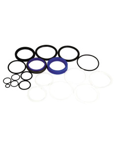 Kit Juntas (Lateral Cilindro de direccion)