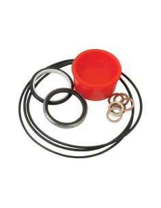 Sparex Juego de sellado Orbital motor