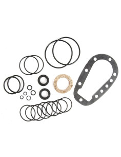 Sparex Juego de sellado Orbital motor 2