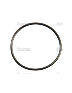 Junta Tórica 1/16'' x 1 1/2'' (BS29) 90 º