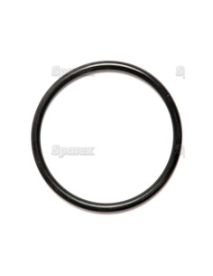 Junta Tórica 1/8'' x -'' (BS829) 70 º