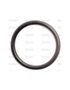 Junta Tórica 1/8'' x 1 5/16'' (BS219) 70 º