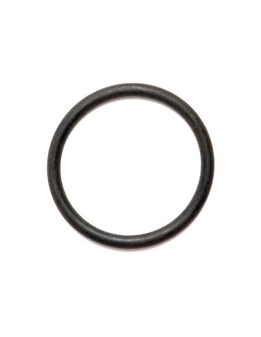 Junta Tórica 1/8'' x 1 7/16'' (BS221) 70 º