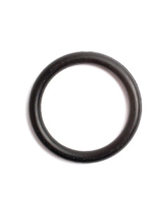 Junta Tórica 1/8'' x 1'' (BS214) 70 º