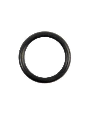 Junta Tórica 1/8'' x 15/16'' (BS213) 70 º