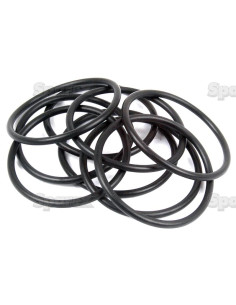 Junta Tórica 1/8'' x 2'' (BS226) 70 º