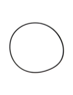 Junta Tórica 1/8'' x 5 1/4'' (BS252) 70 º