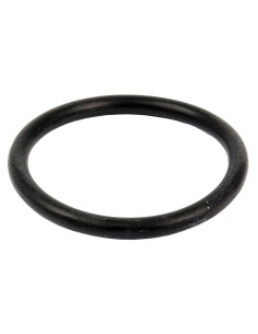 Junta Tórica 3/16'' x 2'' (BS329) 70 º