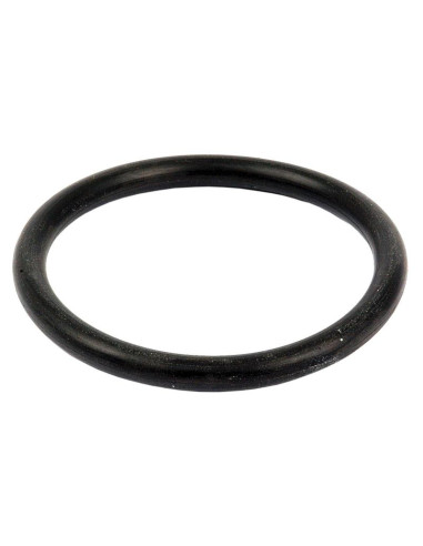 Junta Tórica 3/16'' x 2'' (BS329) 70 º