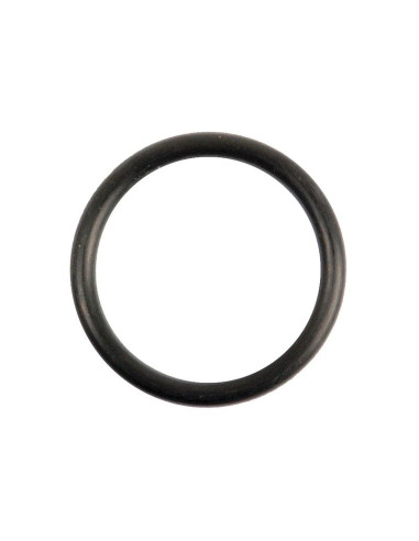Junta Tórica 3/32'' x -'' (BS813) 70 º