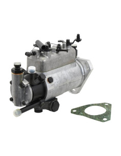 Bomba de inyección de combustible