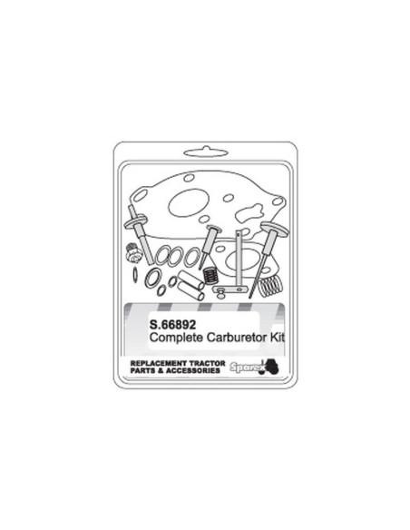 Kit de Reparación Carburador