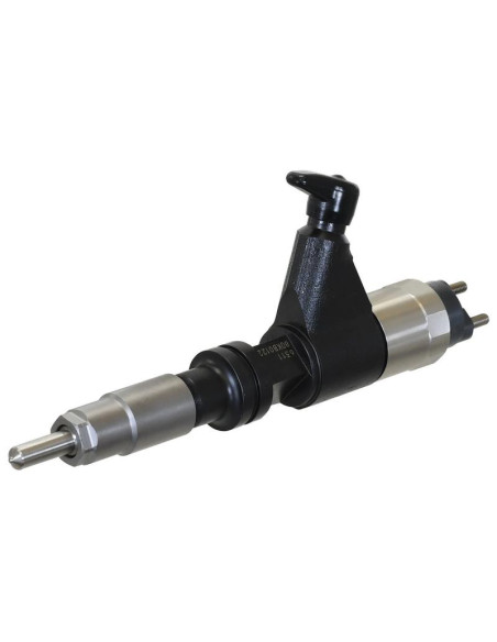 Conjunto del inyector