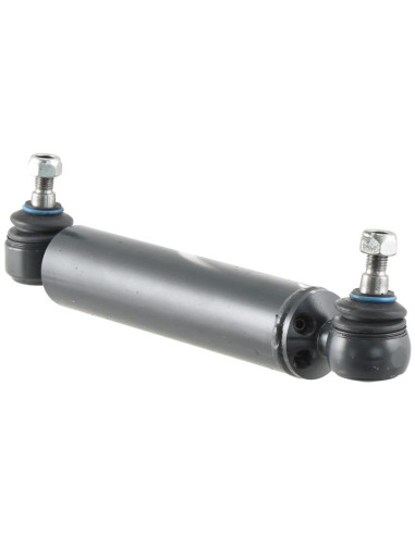 Cilindro Dirección Asistida