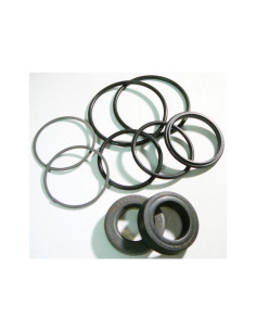 Juego de sellos del cilindro de dirección asistida