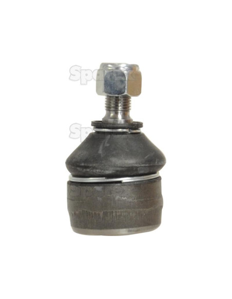 Rótula, Longitud: 170mm