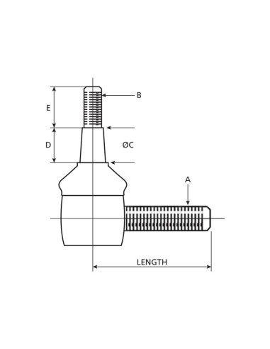 Rótula, Longitud: 99mm