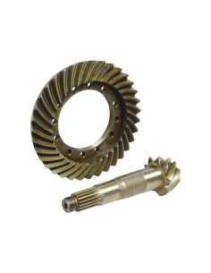 Grupo Corona Y Piñón