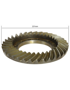 Grupo Corona Y Piñón 2