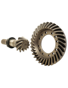 Grupo Corona Y Piñón