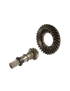 Grupo Corona Y Piñón