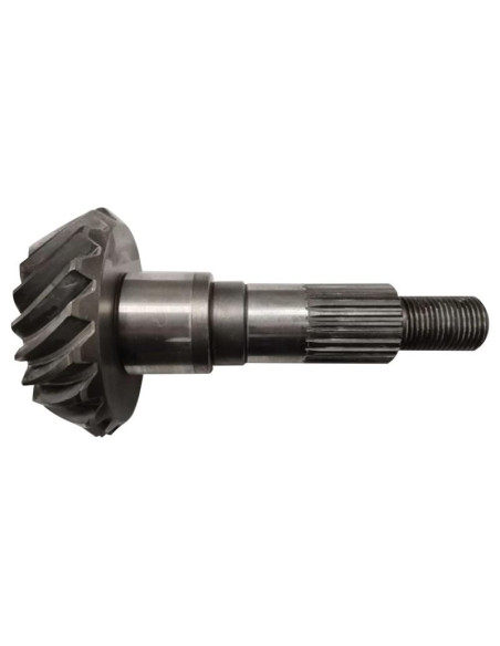 Juego Piñón Y Rueda Corona