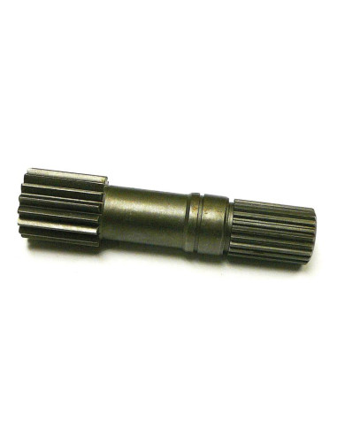 Piñón